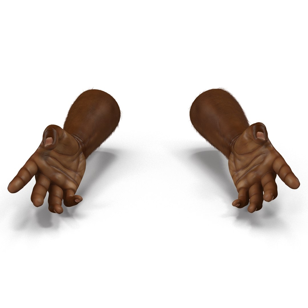 african man hands fur 3d model https://p.turbosquid.com/ts-thumb/Am/1jsM2M/zzvVoV6e/africanmanhandswithfurrigged3dsmaxvray3dmodel06/jpg/1468319531/1920x1080/fit_q87/84f1e99bb6e42019c4b3cdce7f0356b0e813043a/africanmanhandswithfurrigged3dsmaxvray3dmodel06.jpg
