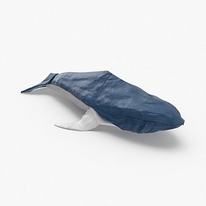 whale 3D