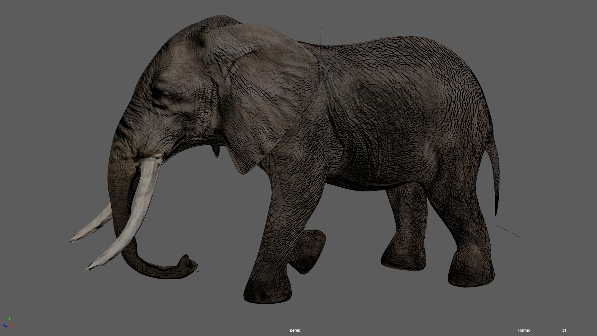 3D Elephant Rigged Model - TurboSquid 1976417