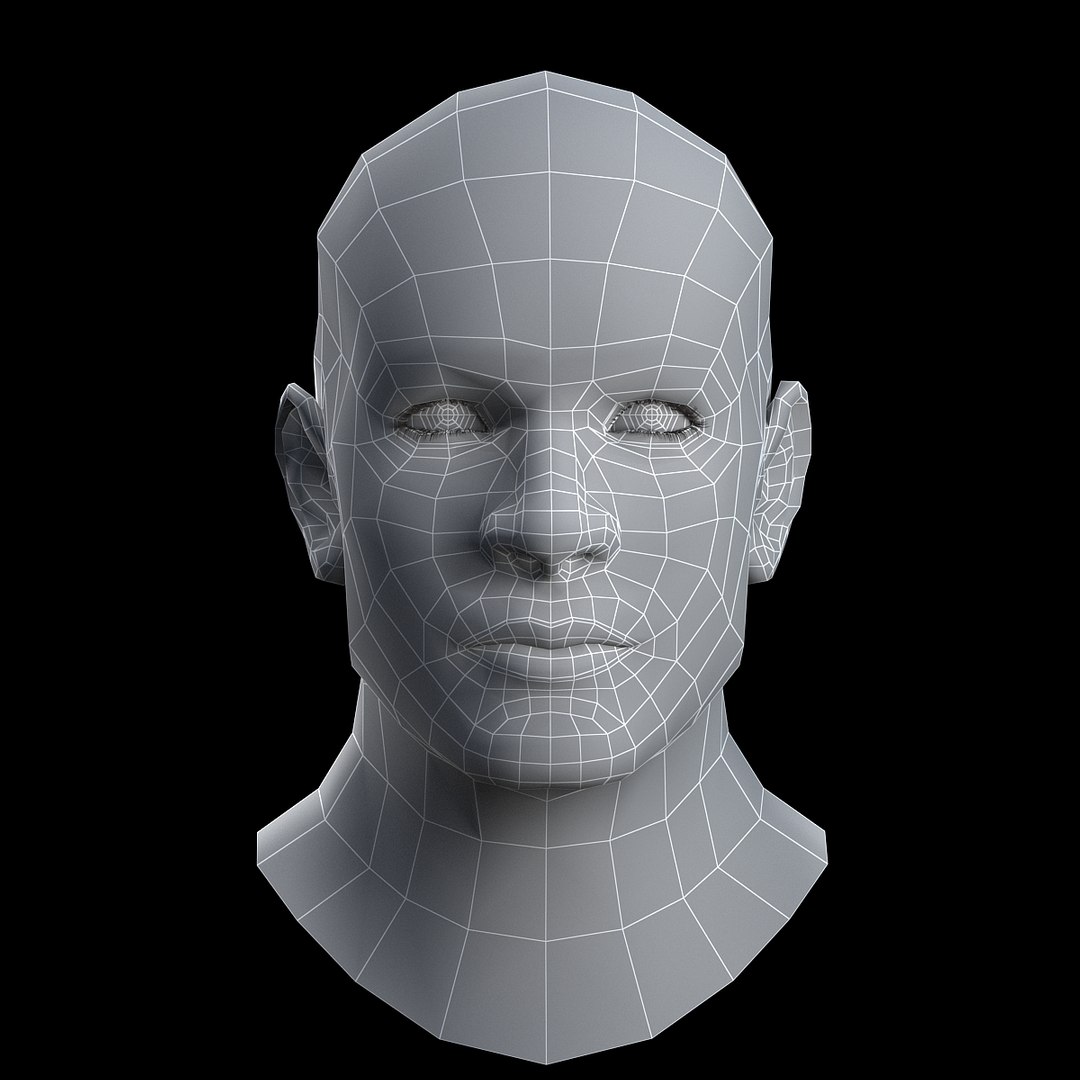 3d model male head