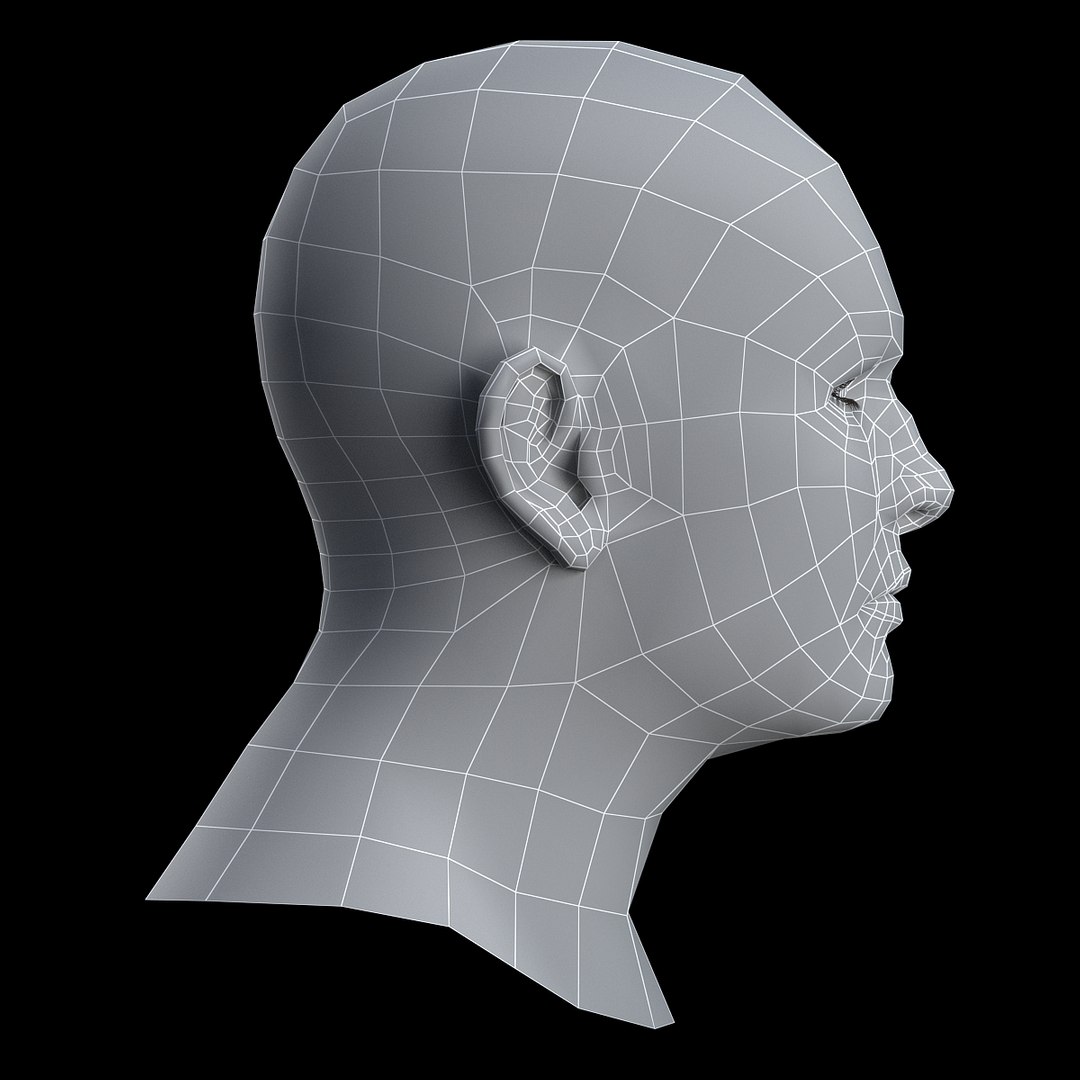 3d model male head