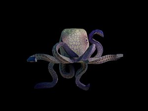 3D Pirat Octopus Hand Painted Game Ready 3D Model model
