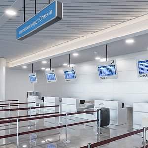 Airport Check-in