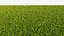 3D Lawn Grass Trimmed