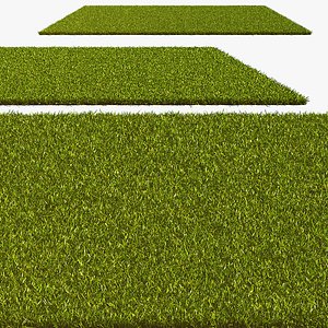 Lawn Grass Trimmed