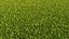 3D Lawn Grass Trimmed