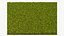 3D Lawn Grass Trimmed