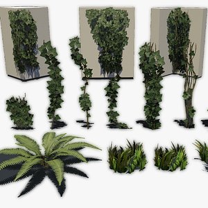 Vegetation