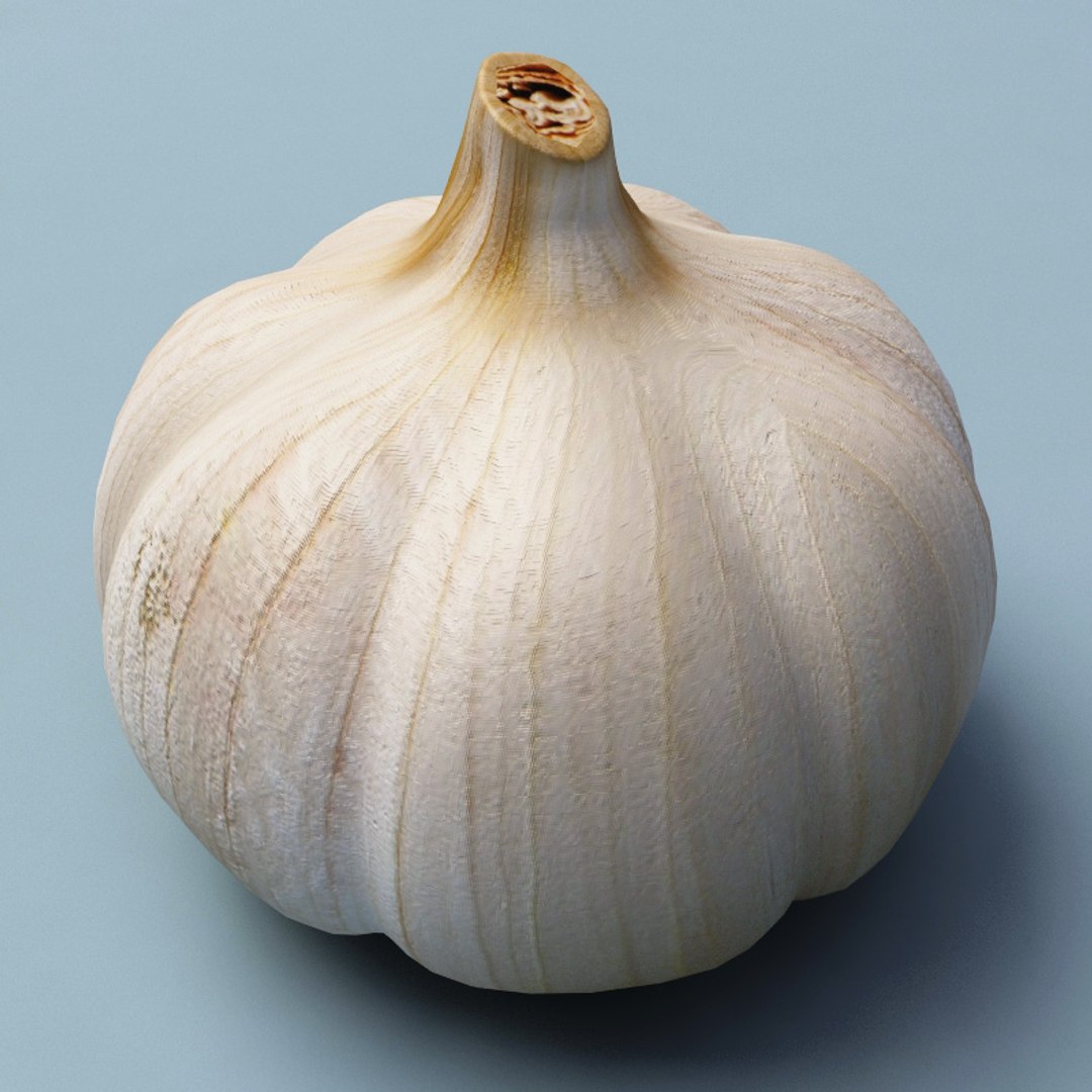 vegetables set potato 3d model https://p.turbosquid.com/ts-thumb/Am/WHGJs6/5nvNcCm6/vegetables_collection_37/jpg/1260212284/1920x1080/fit_q87/3cea5dd1e1703fe016036f576ebed0bd5c1804f0/vegetables_collection_37.jpg