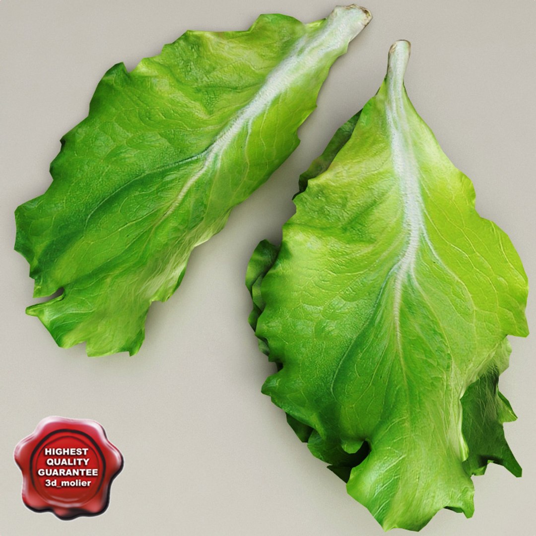 vegetables set potato 3d model https://p.turbosquid.com/ts-thumb/Am/WHGJs6/92wCJNIA/vegetables_collection_41/jpg/1260212720/1920x1080/fit_q87/f282ed2f349af96bb157b537505bfcb1f96a193c/vegetables_collection_41.jpg
