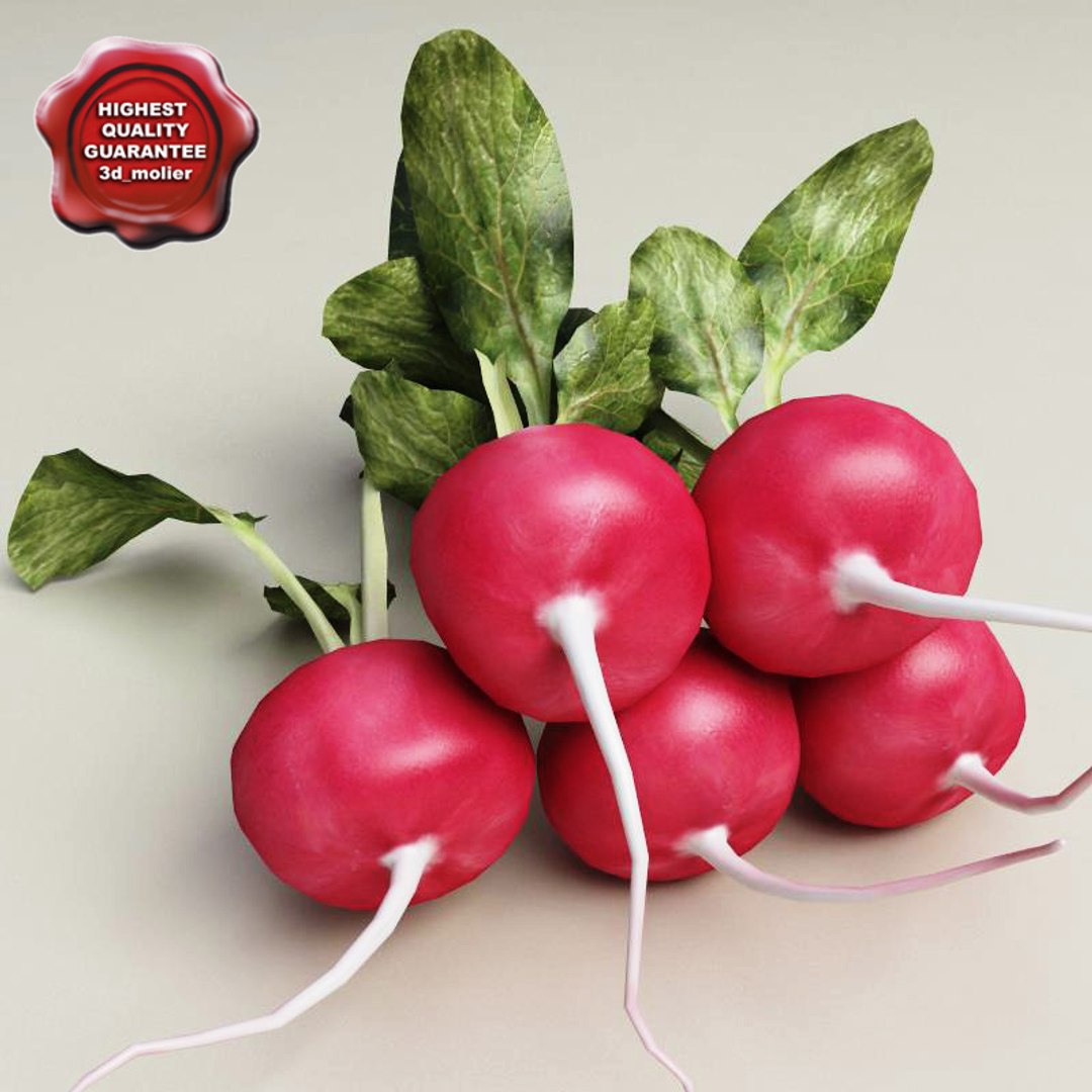 vegetables set potato 3d model https://p.turbosquid.com/ts-thumb/Am/WHGJs6/GXusv3Ud/vegetables_collection_84/jpg/1260214395/1920x1080/fit_q87/da129c63b8e7d4b2f3bbe1b055ed037a52f5e7e5/vegetables_collection_84.jpg