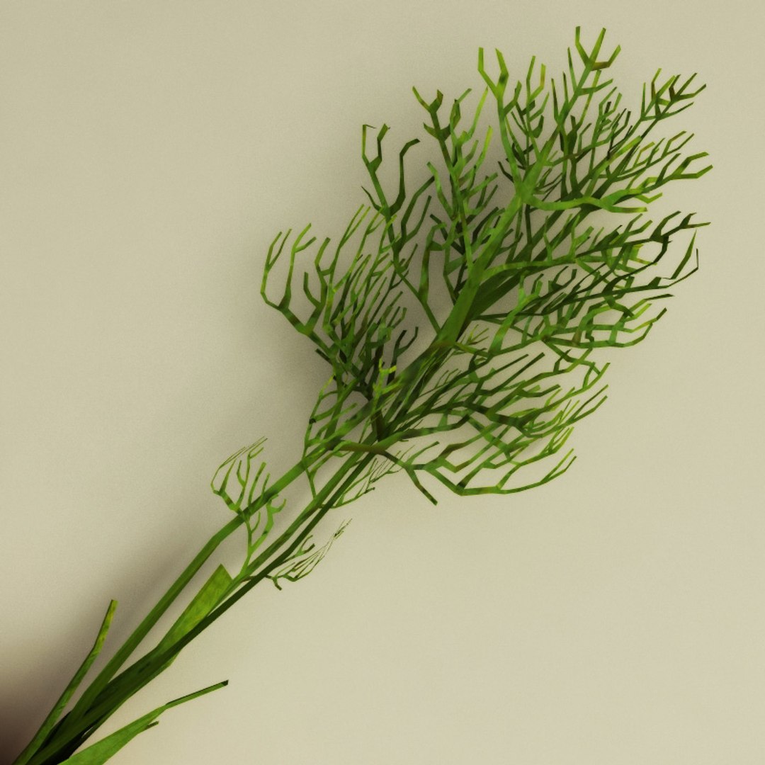 vegetables set potato 3d model https://p.turbosquid.com/ts-thumb/Am/WHGJs6/QWhUFVuf/vegetables_collection_16/jpg/1260356942/1920x1080/fit_q87/b6c4dc8b457a4499c1b4775339cab6fc3426852b/vegetables_collection_16.jpg