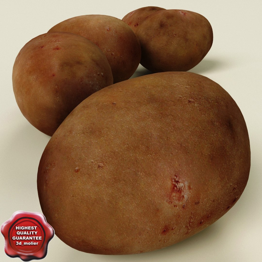 vegetables set potato 3d model https://p.turbosquid.com/ts-thumb/Am/WHGJs6/S8MDh9CU/vegetables_collection_69/jpg/1260213497/1920x1080/fit_q87/afe0e82696ae2d14fa52b4d572fa7a46f9268fc2/vegetables_collection_69.jpg