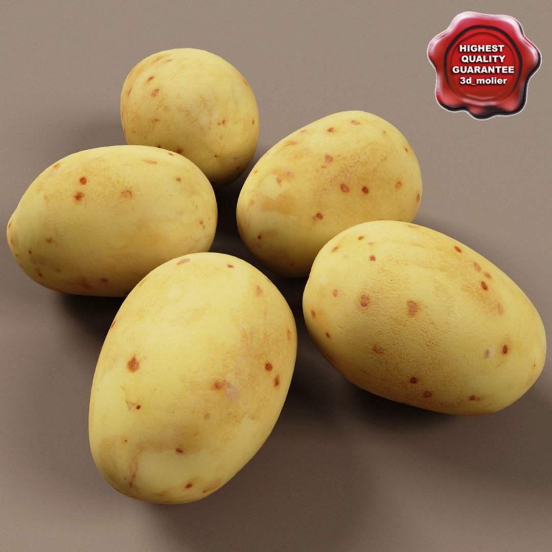 vegetables set potato 3d model https://p.turbosquid.com/ts-thumb/Am/WHGJs6/WBDDaK6J/vegetables_collection_73/jpg/1260213998/1920x1080/fit_q87/e1bb233f9ae88b0e847c8607555ae3a8b3ca9062/vegetables_collection_73.jpg