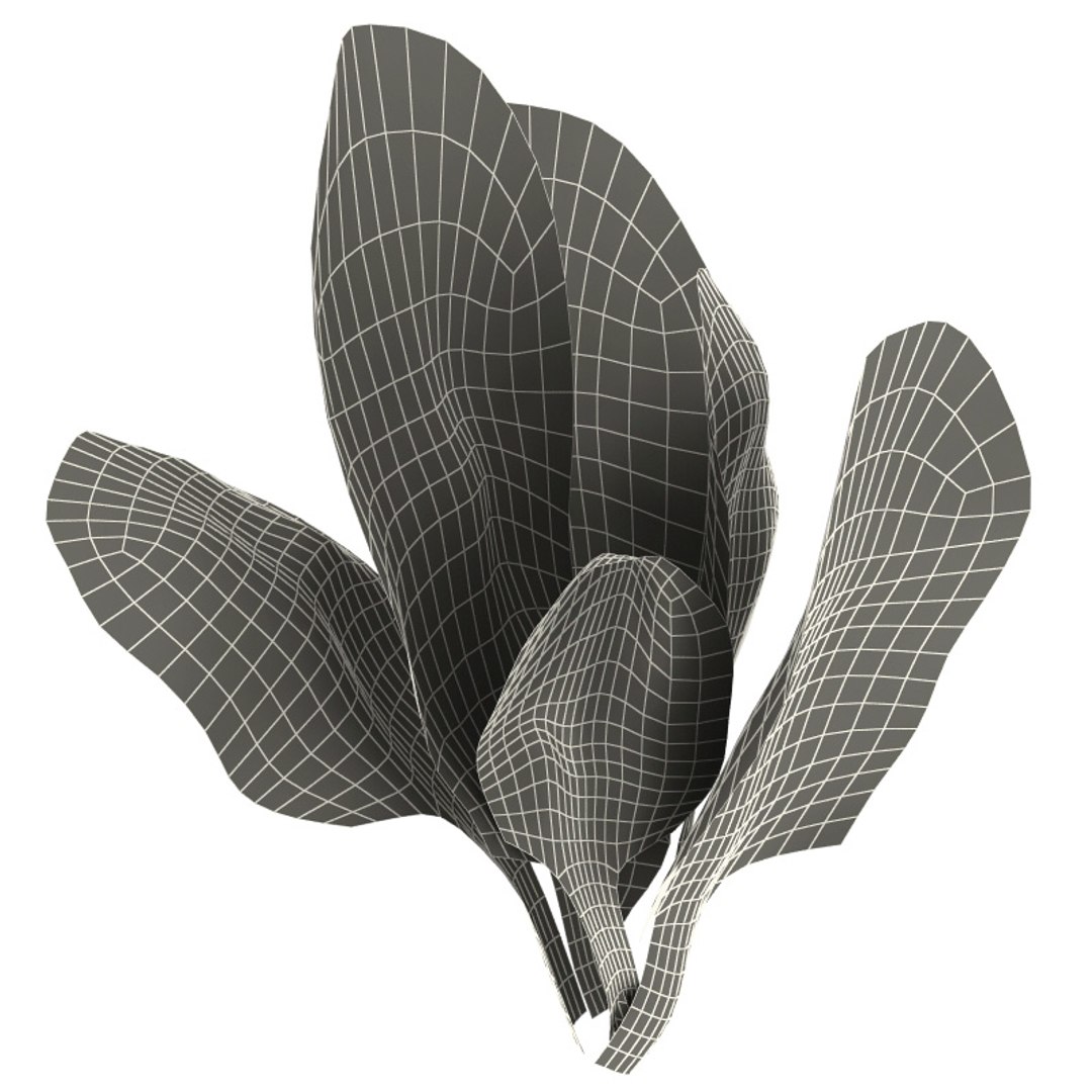 vegetables set potato 3d model https://p.turbosquid.com/ts-thumb/Am/WHGJs6/nua7sUPz/vegetables_collection_92/jpg/1260214734/1920x1080/fit_q87/4c0d3c3a2b7ddd08942d3a288156f01ba96e2600/vegetables_collection_92.jpg