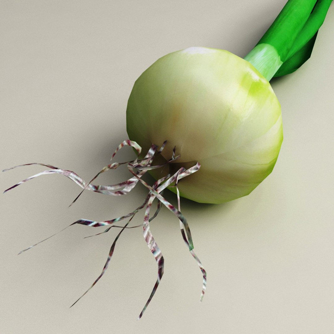 vegetables set potato 3d model https://p.turbosquid.com/ts-thumb/Am/WHGJs6/pr1bUwzs/vegetables_collection_54/jpg/1260213104/1920x1080/fit_q87/6113d2559ca30cda5461ae1c9e83a507311073f1/vegetables_collection_54.jpg