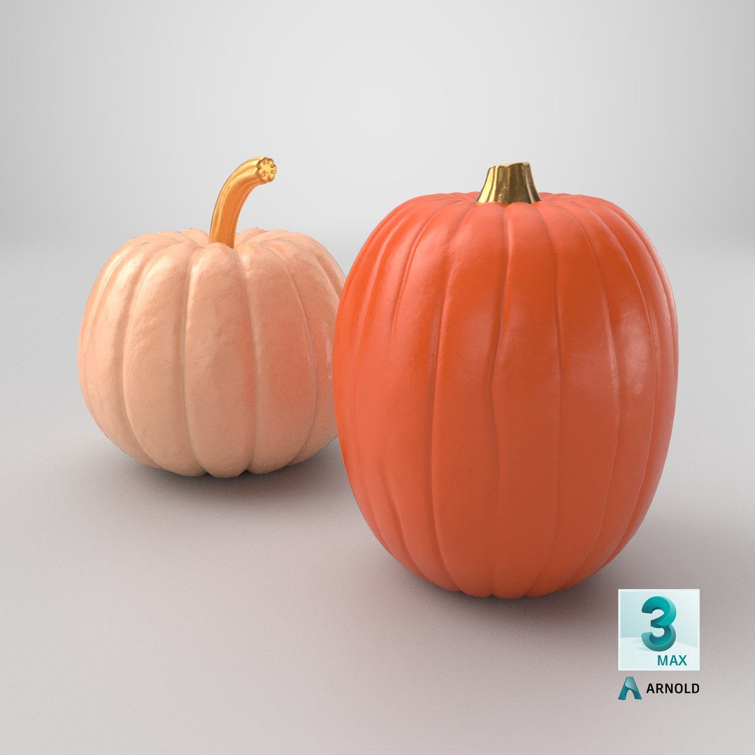 Realistic Halloween Pumpkin Duo model https://p.turbosquid.com/ts-thumb/Am/Zxpn03/dk/stemcell_max_arnold_render/png/1791914869/1920x1080/fit_q87/ccbad33d15e6dd9563ae7aee08488862b5f2c4d1/stemcell_max_arnold_render.jpg