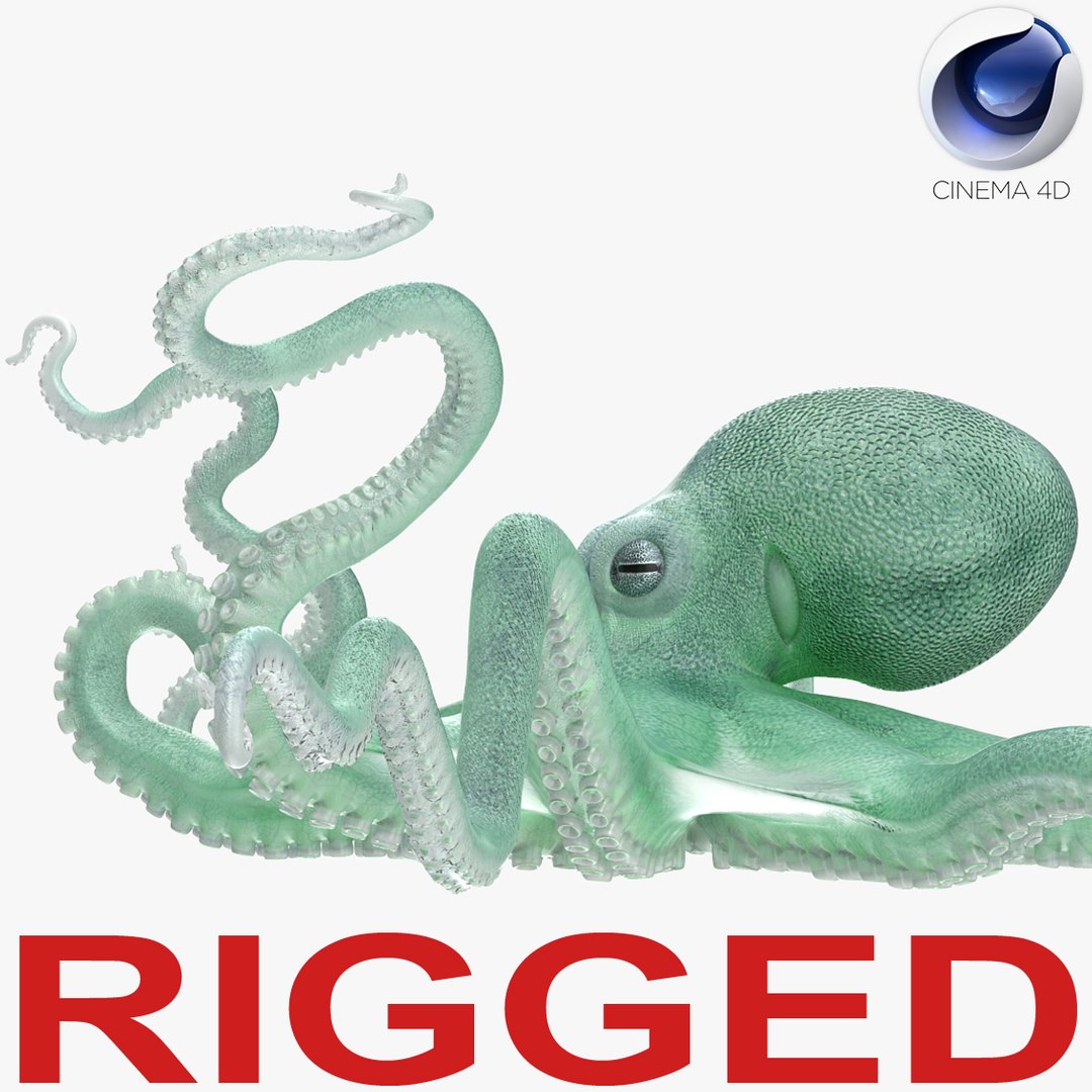 Blue Octopus Rigged for Cinema 4D 3D model preview