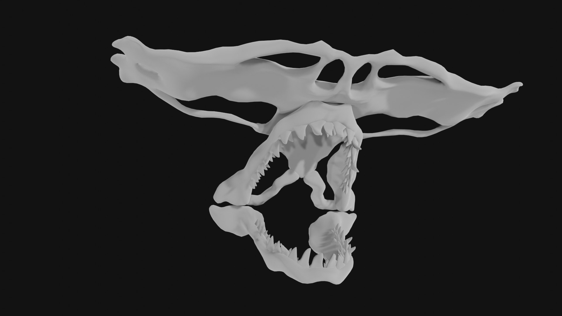 3D Hammerhead Shark Skull - TurboSquid 1974980