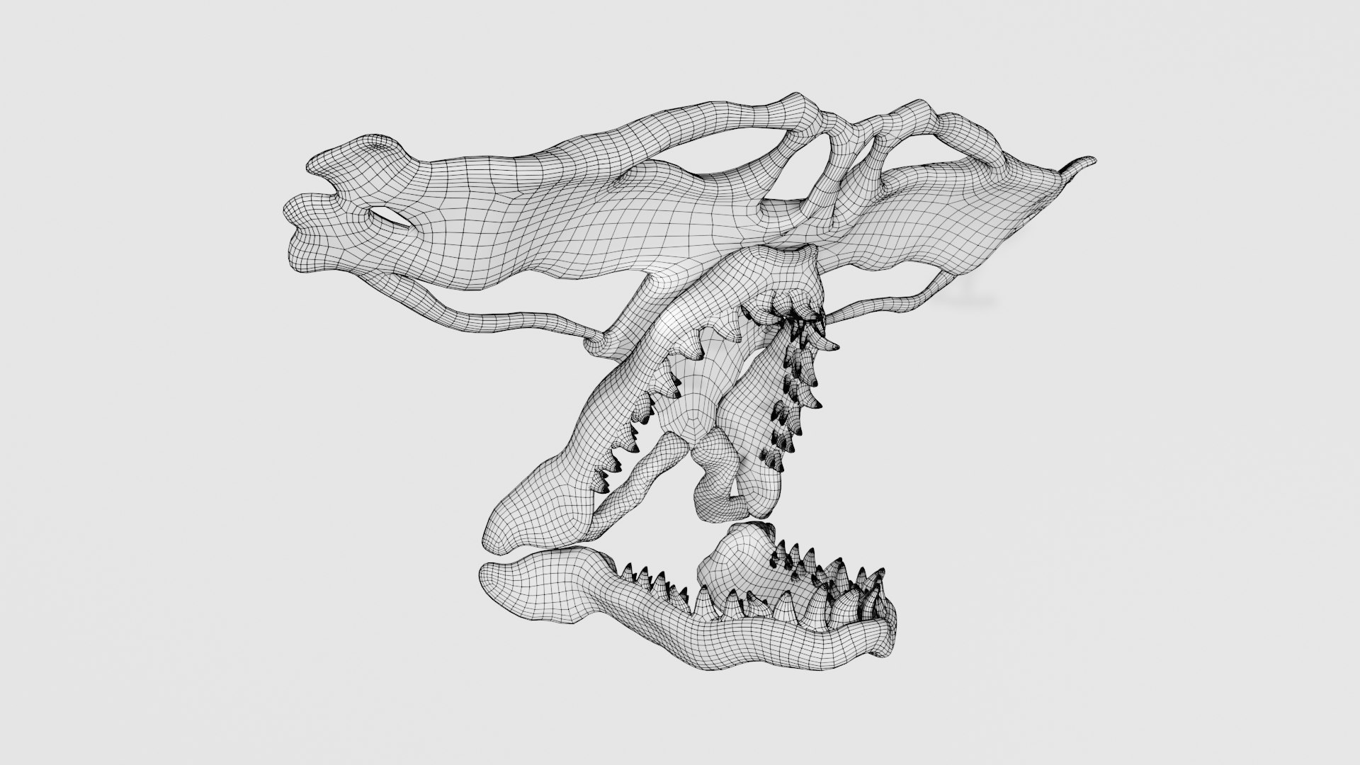 3D Hammerhead Shark Skull - TurboSquid 1974980
