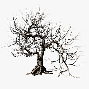Dead tree 3D model
