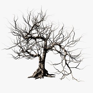 Dead tree