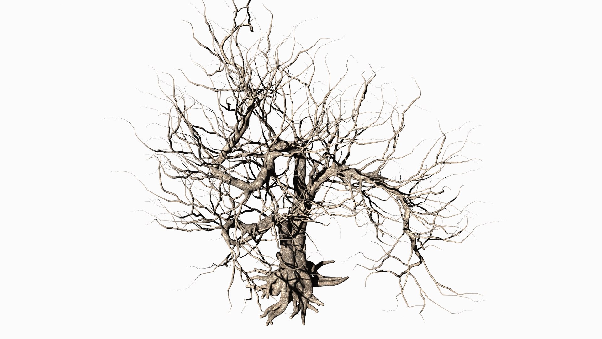 Dead Tree 3D Model - TurboSquid 1879060