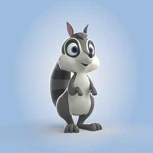 Racoon