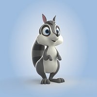 Racoon