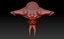 3d head sculptured model