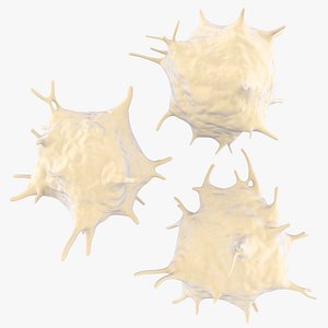 Activated  Platelets