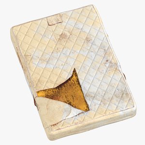 Mattres Damaged
