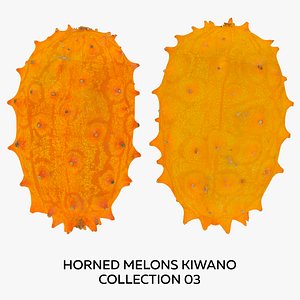 3D Horned Melons Kiwano Collection 03 - 2 models RAW Scans model