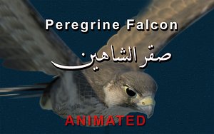 3d model peregrine falcon wings folded