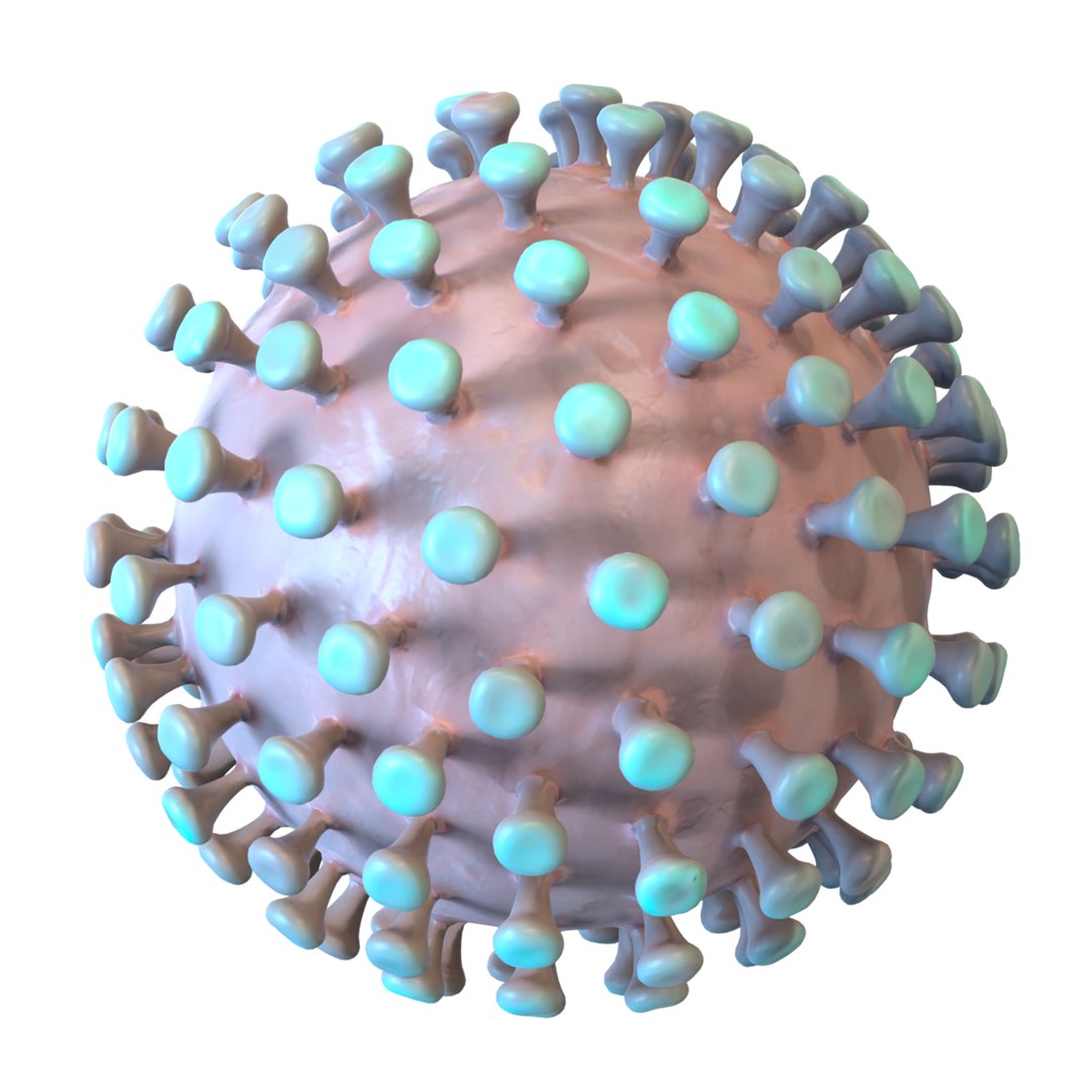modeled coronavirus model https://p.turbosquid.com/ts-thumb/An/dhOXmh/EY3tO3EX/5/png/1581250414/1920x1080/fit_q87/e268058cc3986f10771f8f80728cc8ffadd34ec8/5.jpg
