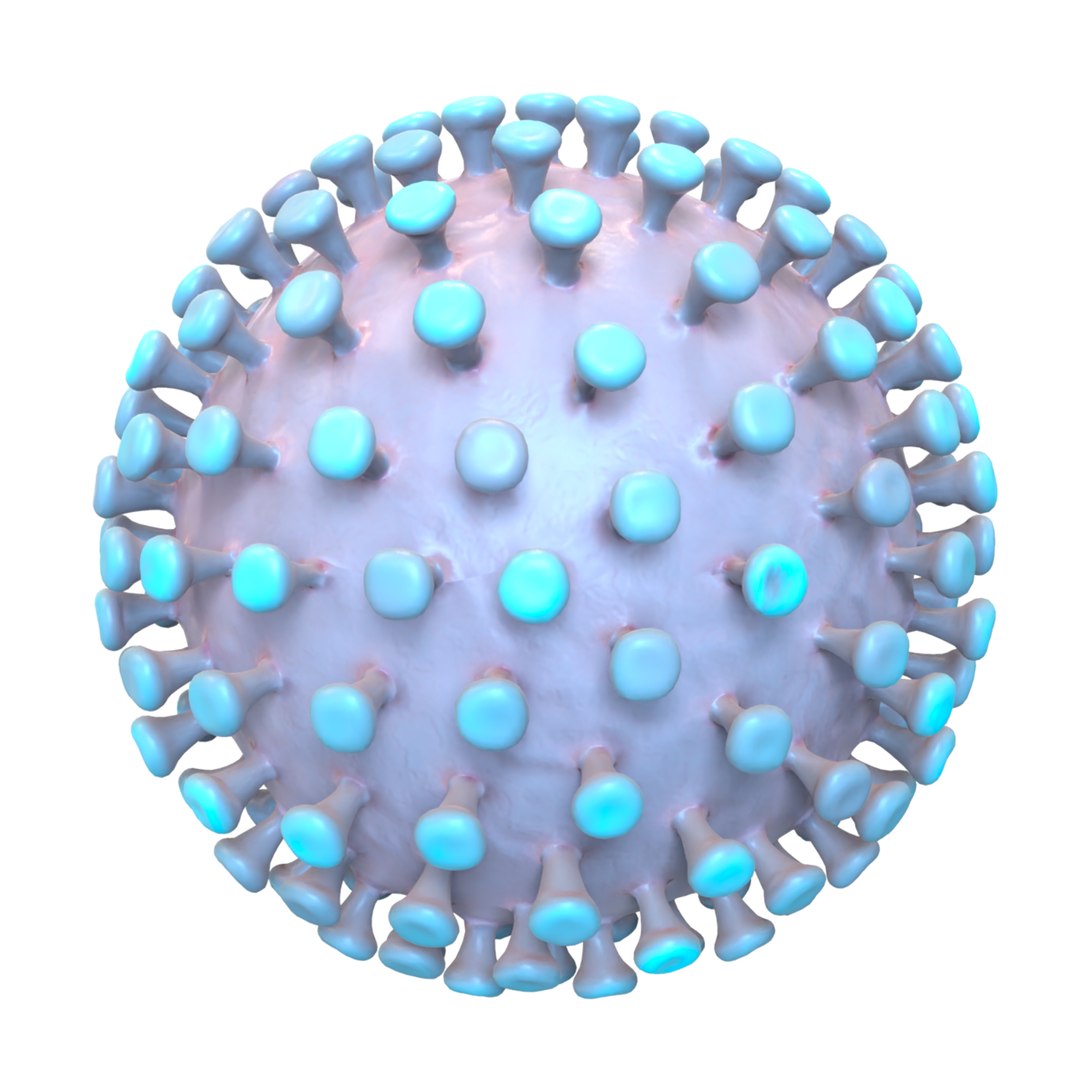 modeled coronavirus model https://p.turbosquid.com/ts-thumb/An/dhOXmh/G0xPGlUT/3/png/1581250414/1920x1080/fit_q87/67c2469e6d24369d394a640c358aeeb13d68bbb5/3.jpg