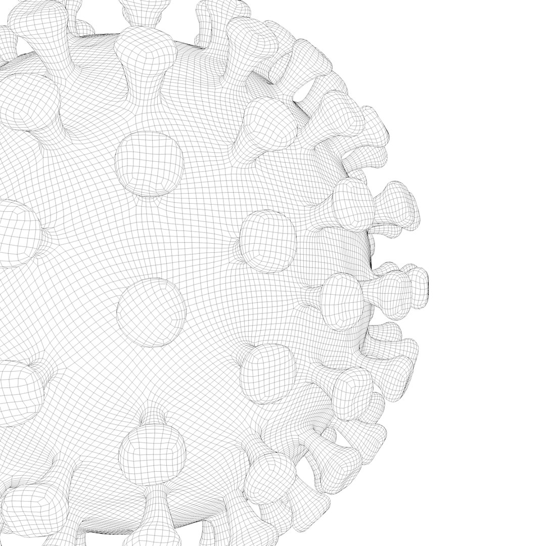 modeled coronavirus model https://p.turbosquid.com/ts-thumb/An/dhOXmh/NccwMGQw/w3/png/1581250414/1920x1080/fit_q87/94c000577e1fbfff78953ad6cf06e0023551430c/w3.jpg