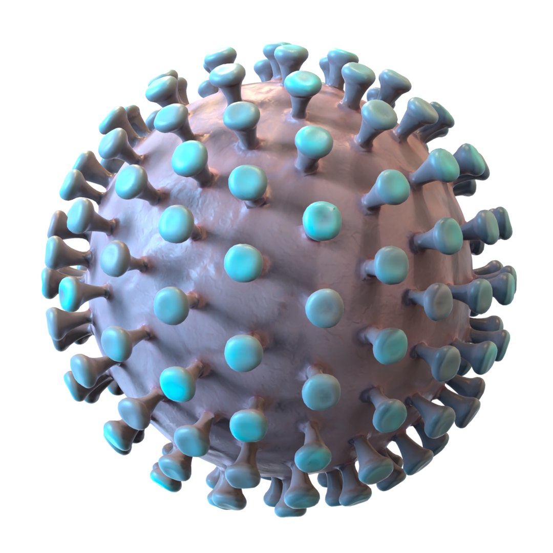 modeled coronavirus model https://p.turbosquid.com/ts-thumb/An/dhOXmh/QfPadnNx/4/png/1581250414/1920x1080/fit_q87/0eb1ead7fd5772c64a1c8389e9e6873cd941fef9/4.jpg
