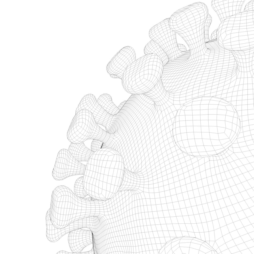 modeled coronavirus model https://p.turbosquid.com/ts-thumb/An/dhOXmh/Uifbj6pB/w2/png/1581250414/1920x1080/fit_q87/4d8b5c1768983850cbef4d98d79fa17c07657d68/w2.jpg