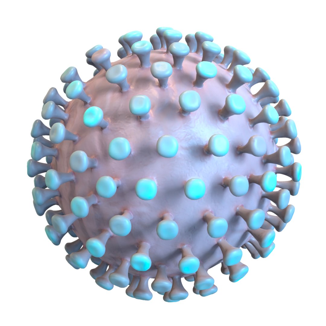 modeled coronavirus model https://p.turbosquid.com/ts-thumb/An/dhOXmh/XzA9Agjp/2/png/1581250414/1920x1080/fit_q87/dda730abe852469c98370e628488a5d16ef1f069/2.jpg