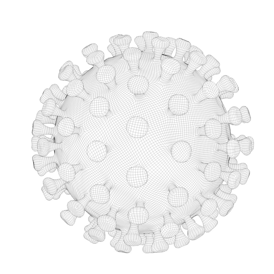modeled coronavirus model https://p.turbosquid.com/ts-thumb/An/dhOXmh/ZAxOegMZ/w1/png/1581250414/1920x1080/fit_q87/22a0ef49e2b480074aea6bb230133b4881aa1183/w1.jpg