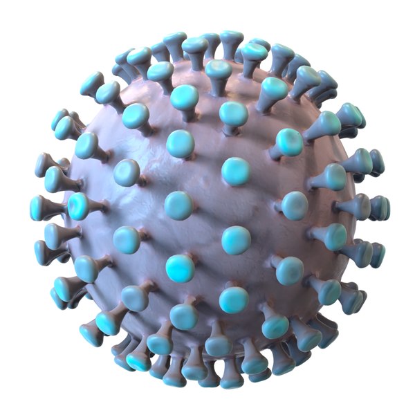 modeled coronavirus model