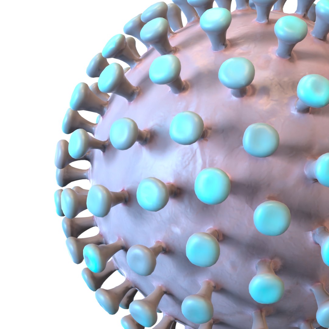 modeled coronavirus model https://p.turbosquid.com/ts-thumb/An/dhOXmh/r8pH6Iyw/6/png/1581250414/1920x1080/fit_q87/b1c0eb9a629178781700b577b2545c1e694e6720/6.jpg