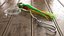 Coleção Trolling Spoons Lure