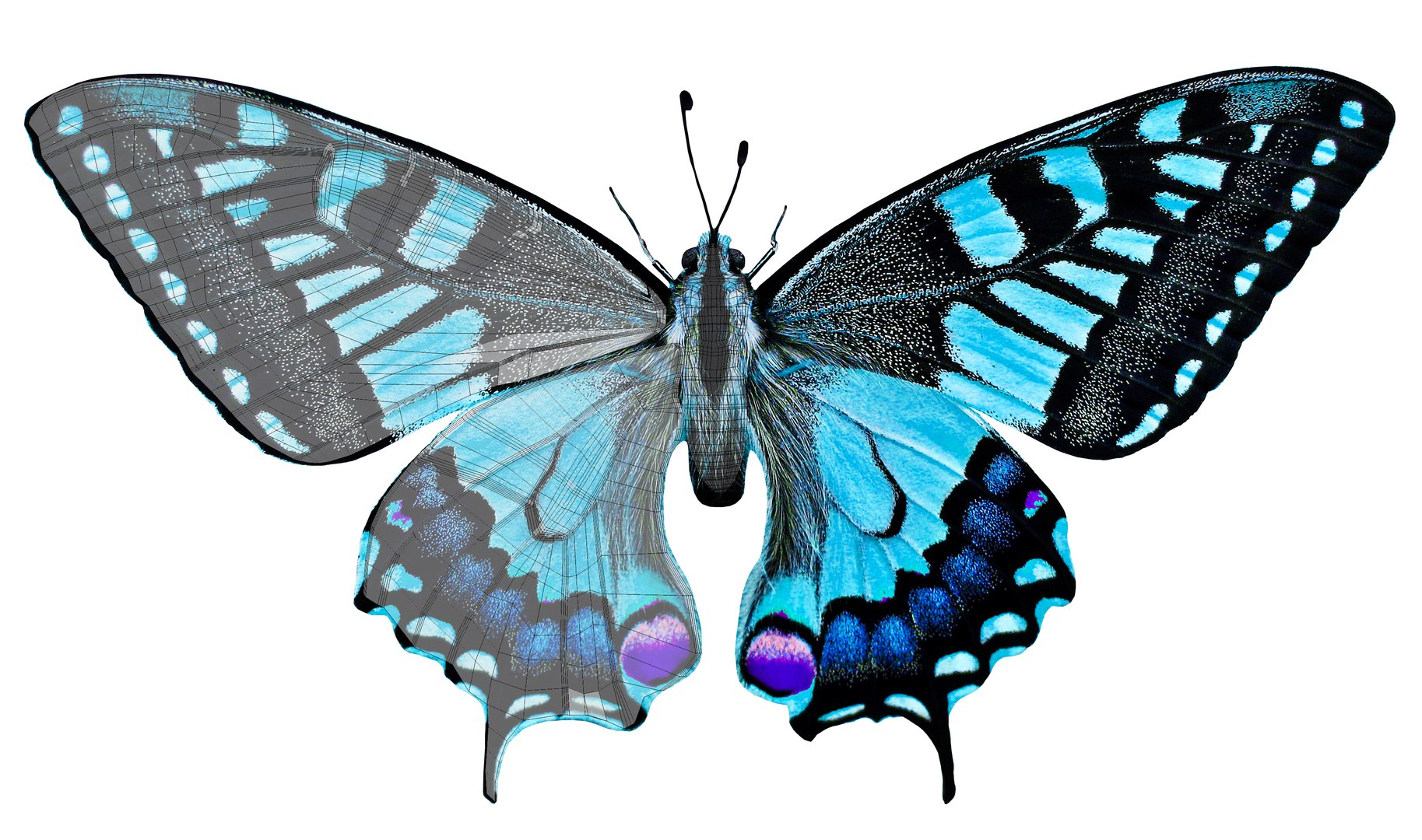 3D butterfly blue https://p.turbosquid.com/ts-thumb/Ao/62z8AX/4TfFDjAS/nature/png/1530120028/1920x1080/fit_q87/47e8022f4e0da09599738db937eb287e74926673/nature.jpg