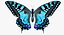Butterfly Blue