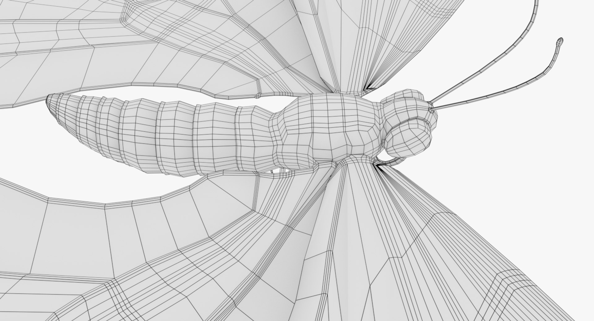 3D butterfly blue https://p.turbosquid.com/ts-thumb/Ao/62z8AX/rH1xpMnX/0006/png/1530120127/1920x1080/fit_q87/9e99c9448cb1589148c3f688fcb5c71e03e65186/0006.jpg