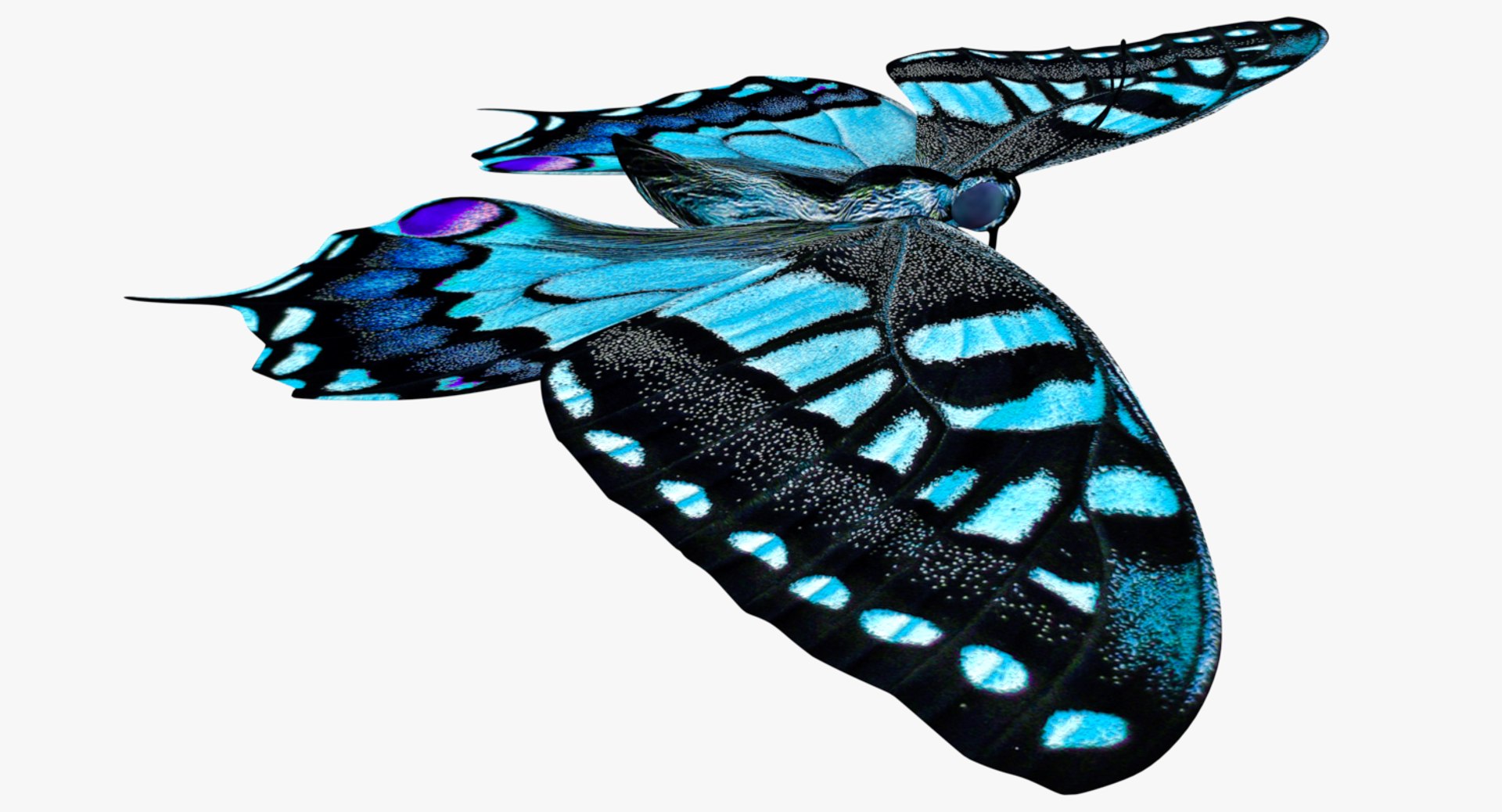 3D butterfly blue https://p.turbosquid.com/ts-thumb/Ao/62z8AX/rOk9LZOO/0004/png/1530119796/1920x1080/fit_q87/e9a001344014ee00c4c23aabf127fc738a2df8d0/0004.jpg