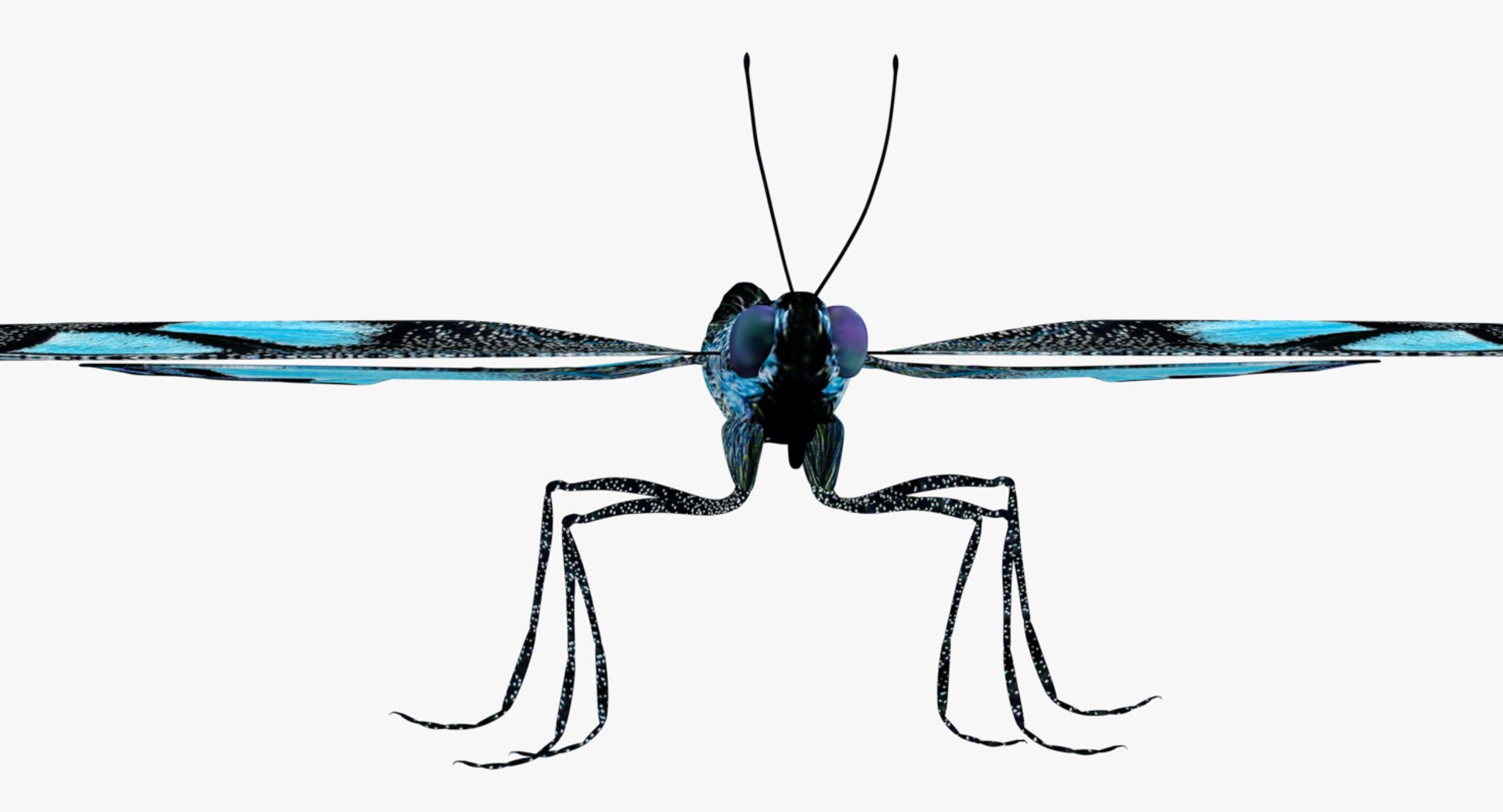 3D butterfly blue https://p.turbosquid.com/ts-thumb/Ao/62z8AX/zFHTXhkX/0009/png/1530119832/1920x1080/fit_q87/74a3a45796a88198841dfe42d84f8cba104b6b24/0009.jpg