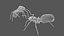 3D Robot ants